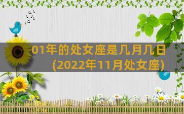 01年的处女座是几月几日(2022年11月处女座)