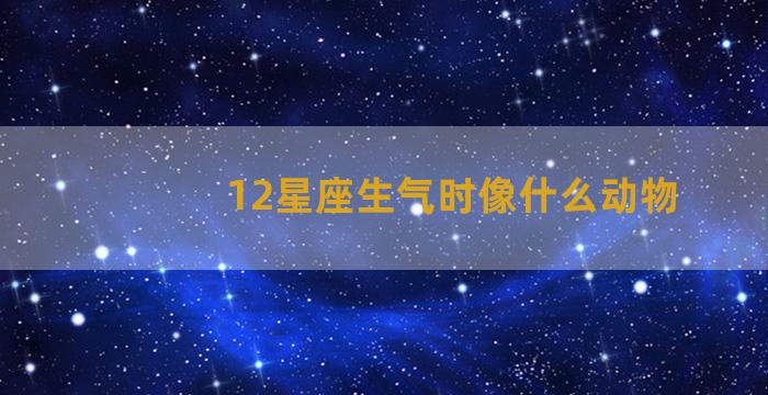 12星座生气时像什么动物