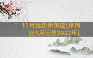 12月运势摩羯座(摩羯座9月运势2022年)