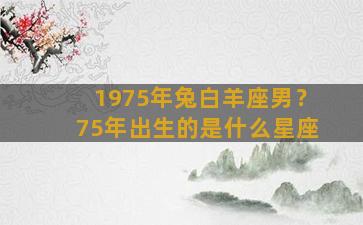 1975年兔白羊座男？75年出生的是什么星座