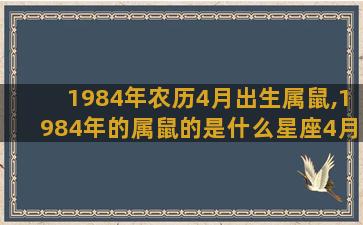 1984年农历4月出生属鼠,1984年的属鼠的是什么星座4月