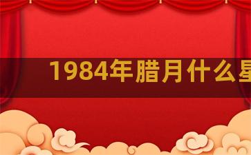 1984年腊月什么星座