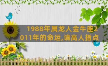 1988年属龙人金牛座2011年的命运,请高人指点