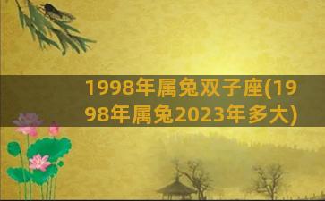 1998年属兔双子座(1998年属兔2023年多大)