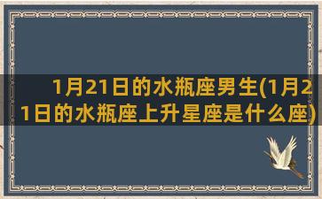 1月21日的水瓶座男生(1月21日的水瓶座上升星座是什么座)