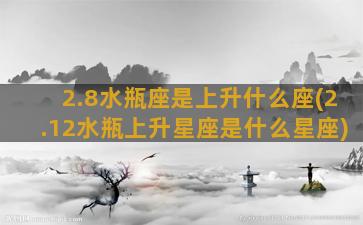 2.8水瓶座是上升什么座(2.12水瓶上升星座是什么星座)