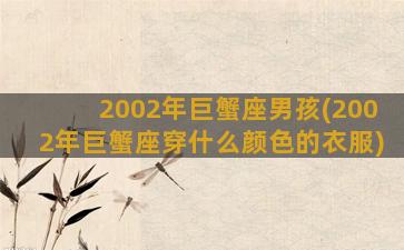 2002年巨蟹座男孩(2002年巨蟹座穿什么颜色的衣服)