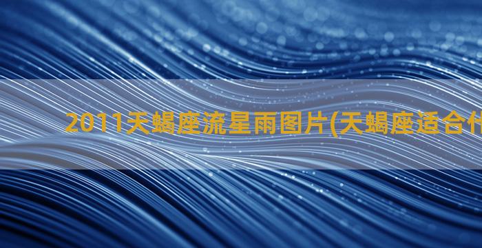 2011天蝎座流星雨图片(天蝎座适合什么流海)