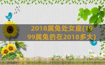 2018属兔处女座(1999属兔的在2018多大)