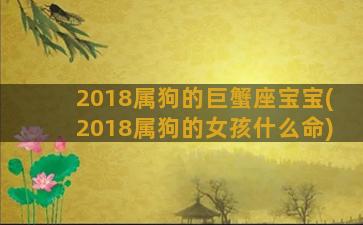 2018属狗的巨蟹座宝宝(2018属狗的女孩什么命)