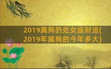 2019属狗的处女座财运(2019年属狗的今年多大)