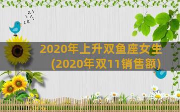 2020年上升双鱼座女生(2020年双11销售额)