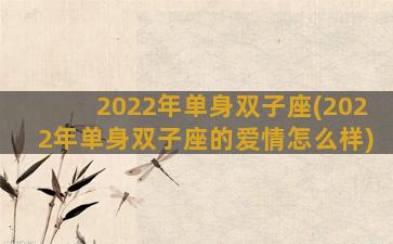 2022年单身双子座(2022年单身双子座的爱情怎么样)