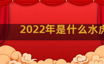 2022年是什么水虎年