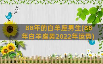 88年的白羊座男生(88年白羊座男2022年运势)