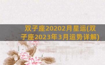 双子座20202月星运(双子座2023年3月运势详解)