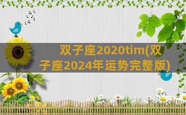 双子座2020tim(双子座2024年运势完整版)