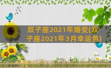 双子座2021年婚变(双子座2021年3月幸运色)