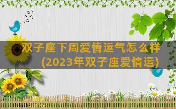 双子座下周爱情运气怎么样(2023年双子座爱情运)