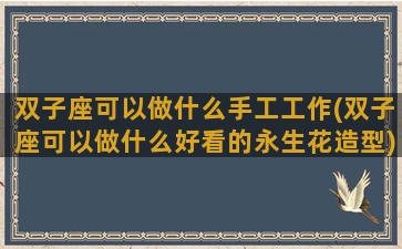 双子座可以做什么手工工作(双子座可以做什么好看的永生花造型)