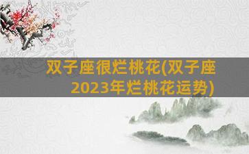 双子座很烂桃花(双子座2023年烂桃花运势)