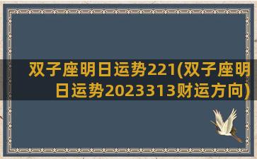 双子座明日运势221(双子座明日运势2023313财运方向)