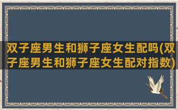 双子座男生和狮子座女生配吗(双子座男生和狮子座女生配对指数)