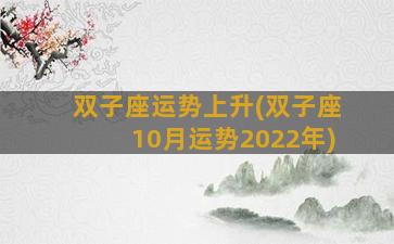 双子座运势上升(双子座10月运势2022年)