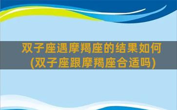 双子座遇摩羯座的结果如何(双子座跟摩羯座合适吗)