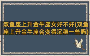 双鱼座上升金牛座女好不好(双鱼座上升金牛座会变得沉稳一些吗)