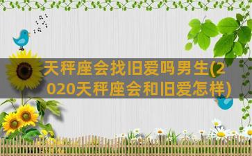 天秤座会找旧爱吗男生(2020天秤座会和旧爱怎样)