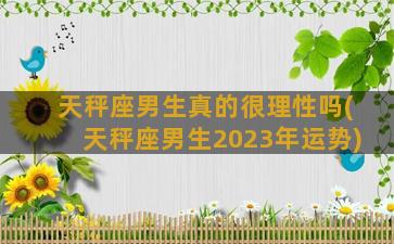 天秤座男生真的很理性吗(天秤座男生2023年运势)