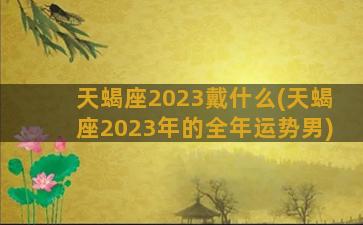 天蝎座2023戴什么(天蝎座2023年的全年运势男)