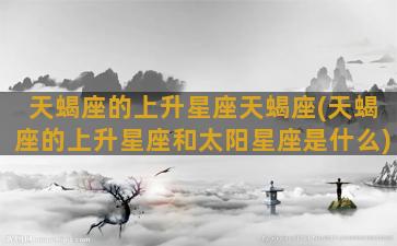 天蝎座的上升星座天蝎座(天蝎座的上升星座和太阳星座是什么)