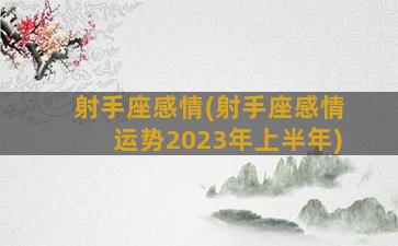 射手座感情(射手座感情运势2023年上半年)