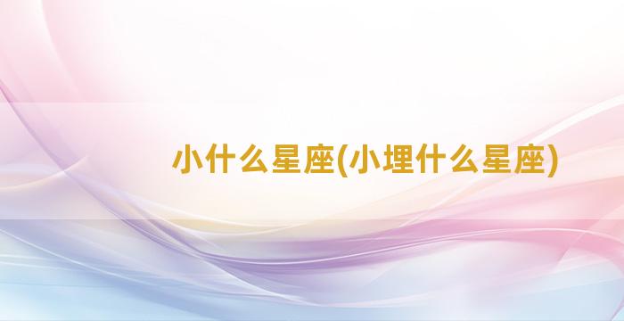 小什么星座(小埋什么星座)