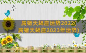 属猪天蝎座运势2022(属猪天蝎座2023年运势)