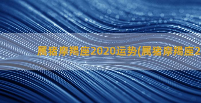 属猪摩羯座2020运势(属猪摩羯座2023年)