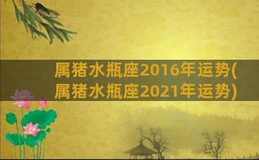 属猪水瓶座2016年运势(属猪水瓶座2021年运势)