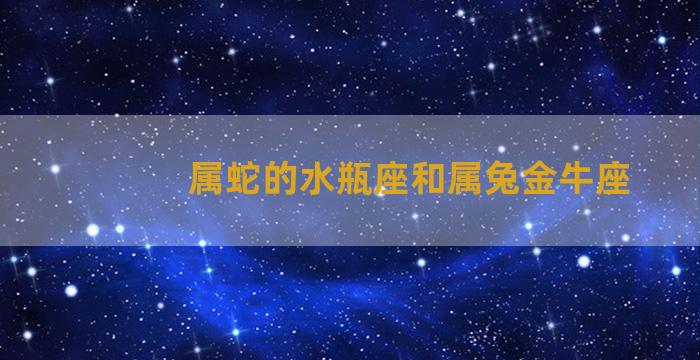 属蛇的水瓶座和属兔金牛座