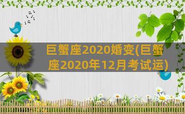 巨蟹座2020婚变(巨蟹座2020年12月考试运)