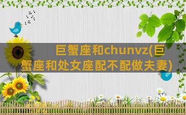 巨蟹座和chunvz(巨蟹座和处女座配不配做夫妻)