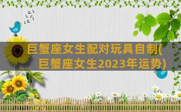 巨蟹座女生配对玩具自制(巨蟹座女生2023年运势)