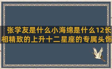 张学友是什么小海绵是什么12长相精致的上升十二星座的专属头饰(小海是什么意思)