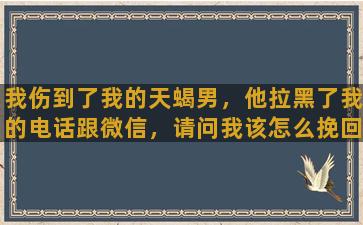 我伤到了我的天蝎男，他拉黑了我的电话跟微信，请问我该怎么挽回