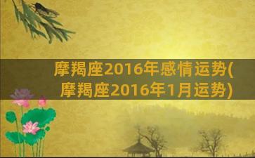 摩羯座2016年感情运势(摩羯座2016年1月运势)