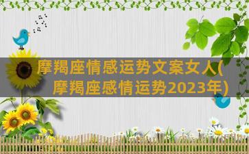 摩羯座情感运势文案女人(摩羯座感情运势2023年)