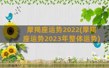 摩羯座运势2022(摩羯座运势2023年整体运势)