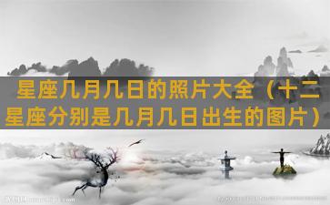 星座几月几日的照片大全（十二星座分别是几月几日出生的图片）