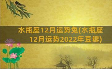 水瓶座12月运势兔(水瓶座12月运势2022年豆瓣)